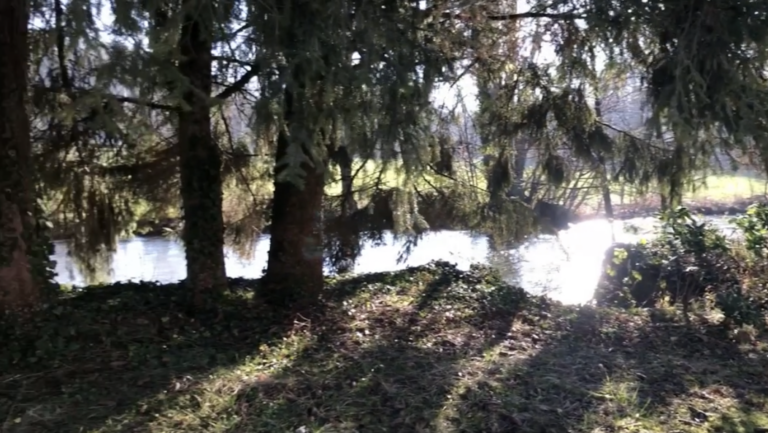 La rivière en contrebas du jardin Au Charme du Foulon à Chamarandes Choignes.