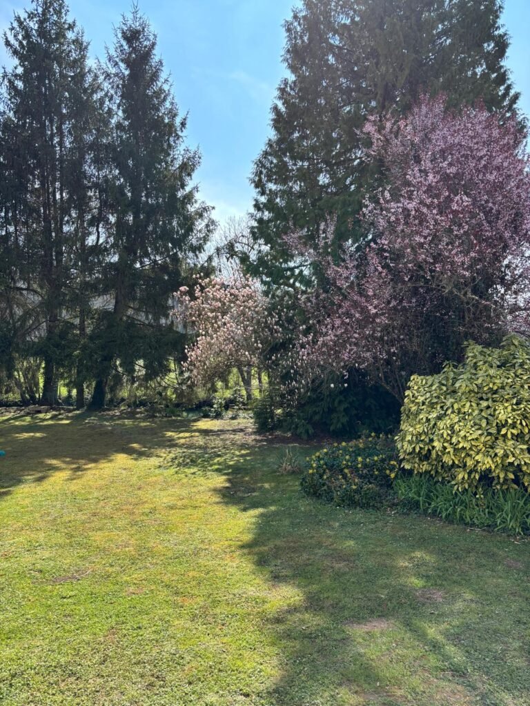 au charme du foulon chamarandes chambre d hotes jardin